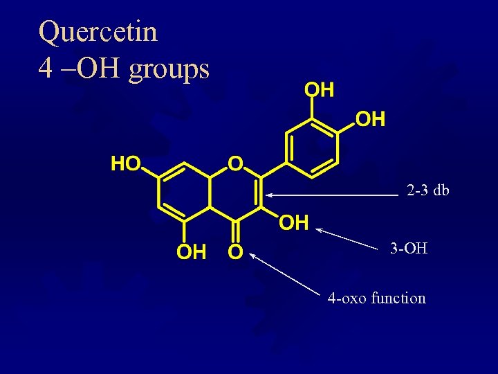 Quercetin 4 –OH groups 2 -3 db 3 -OH 4 -oxo function 