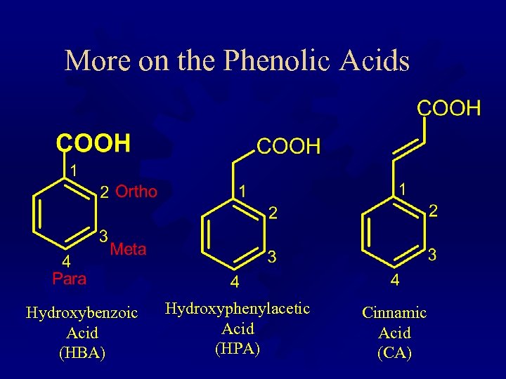 More on the Phenolic Acids Hydroxybenzoic Acid (HBA) Hydroxyphenylacetic Acid (HPA) Cinnamic Acid (CA)