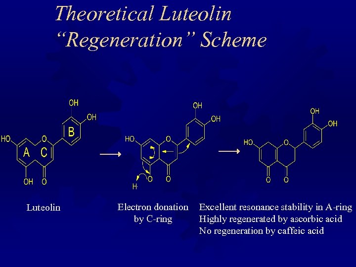 Theoretical Luteolin “Regeneration” Scheme Luteolin Electron donation by C-ring Excellent resonance stability in A-ring