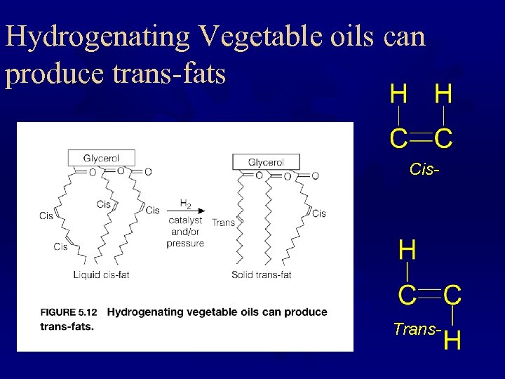 Hydrogenating Vegetable oils can produce trans-fats Cis- Trans- 