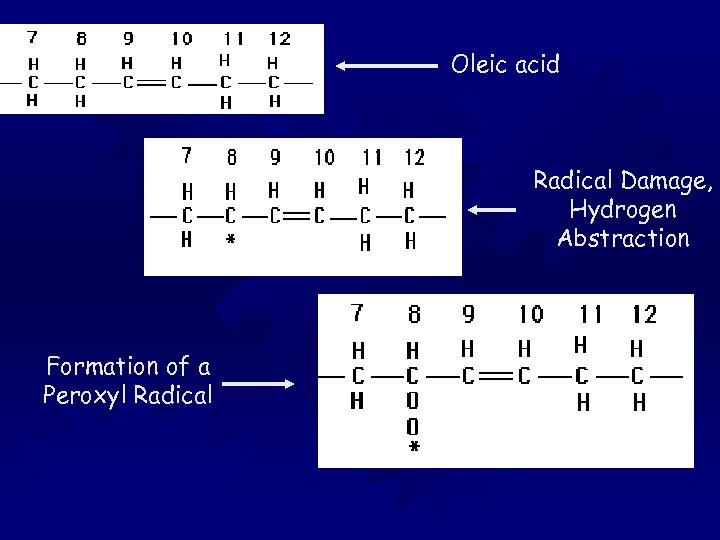 Oleic acid Radical Damage, Hydrogen Abstraction Formation of a Peroxyl Radical 