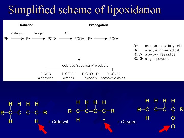 Simplified scheme of lipoxidation + Catalyst + Oxygen 