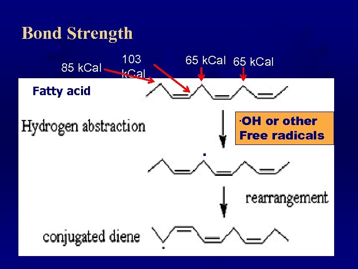 Bond Strength 85 k. Cal 103 k. Cal 65 k. Cal Fatty acid. OH