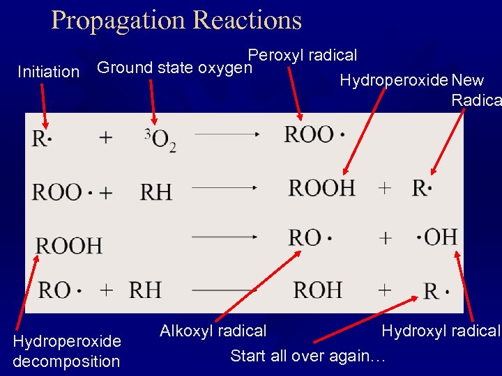 Propagation Reactions Initiation Peroxyl radical Ground state oxygen Hydroperoxide New Radica Hydroperoxide decomposition Alkoxyl