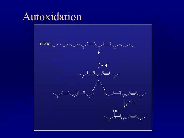 Autoxidation + + 