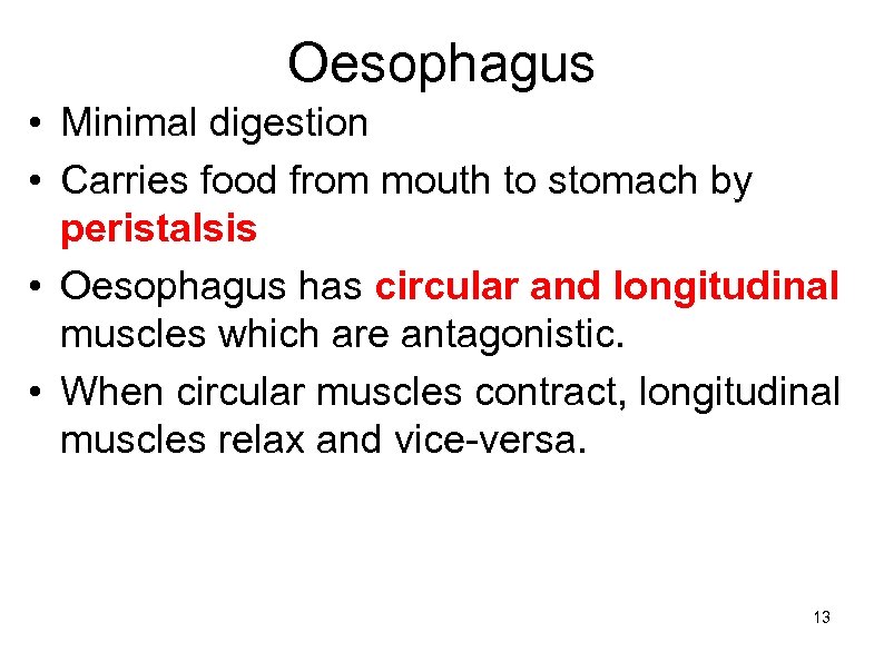 Oesophagus • Minimal digestion • Carries food from mouth to stomach by peristalsis •