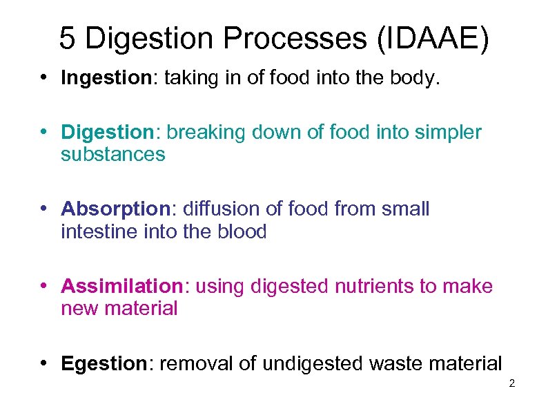 5 Digestion Processes (IDAAE) • Ingestion: taking in of food into the body. •