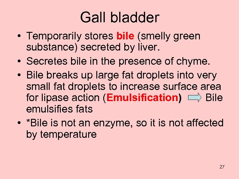 Gall bladder • Temporarily stores bile (smelly green substance) secreted by liver. • Secretes