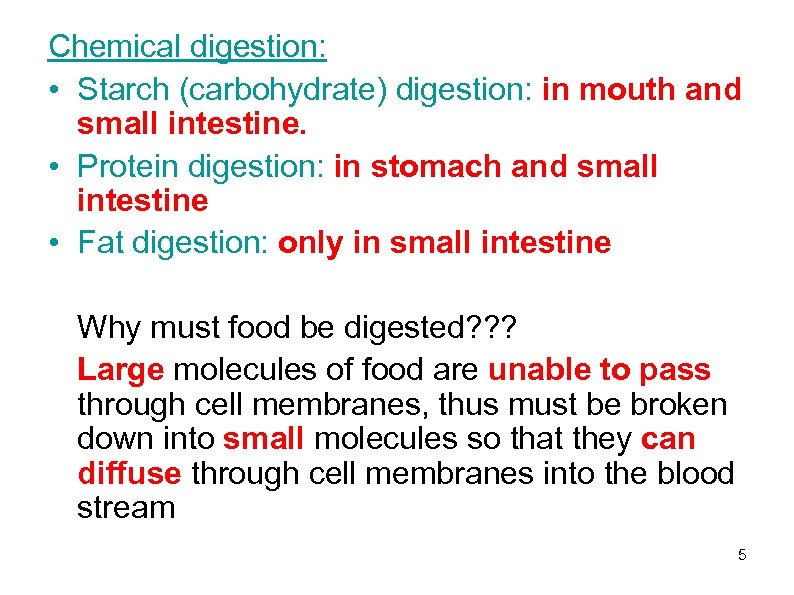 Chemical digestion: • Starch (carbohydrate) digestion: in mouth and small intestine. • Protein digestion: