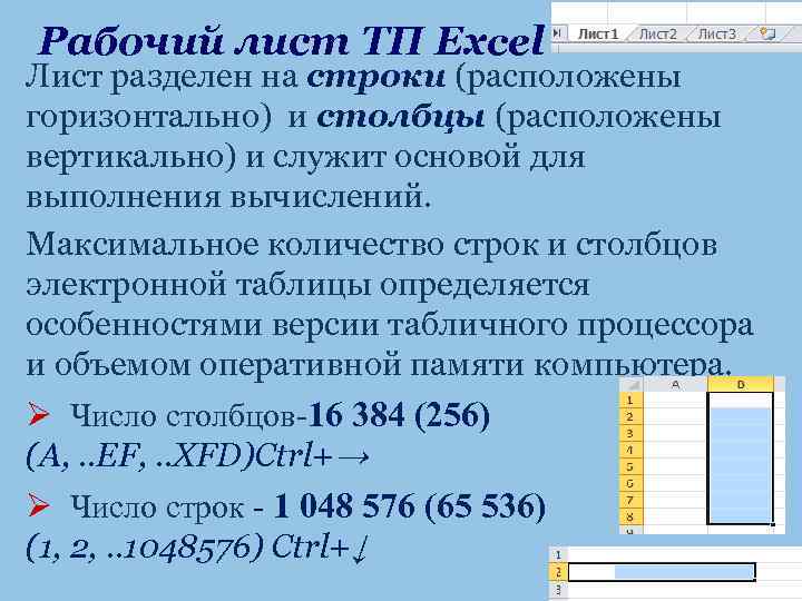 Рабочий лист TП Excel Лист разделен на строки (расположены горизонтально) и столбцы (расположены вертикально)