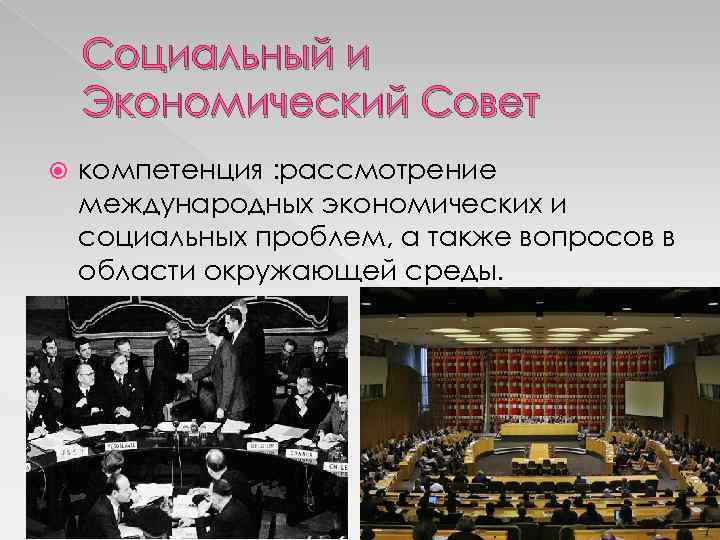 Социальный и Экономический Совет компетенция : рассмотрение международных экономических и социальных проблем, а также