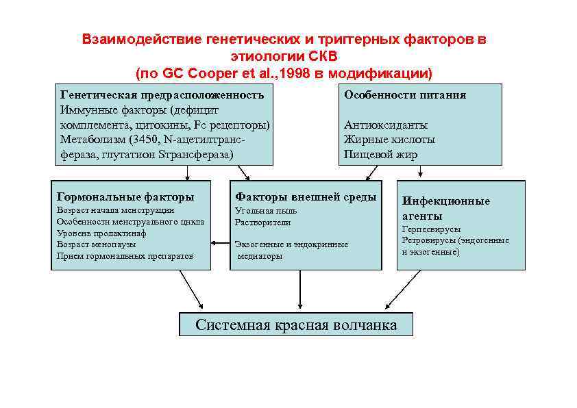 Взаимодействие генетических и триггерных факторов в этиологии СКВ (по GC Cooper et al. ,