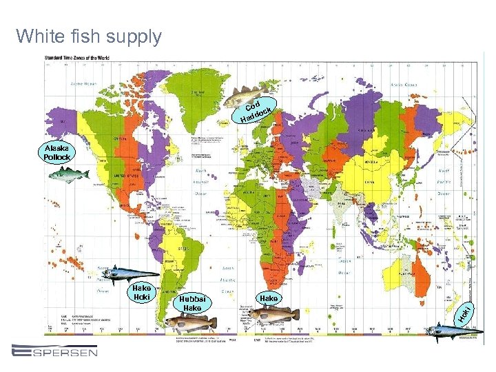 White fish supply Cod ck do Had Alaska Pollock Hake ki Hubbsi Hake Hoki