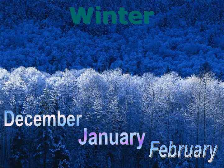Winter 