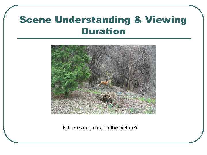 Scene Understanding & Viewing Duration Is there an animal in the picture? 