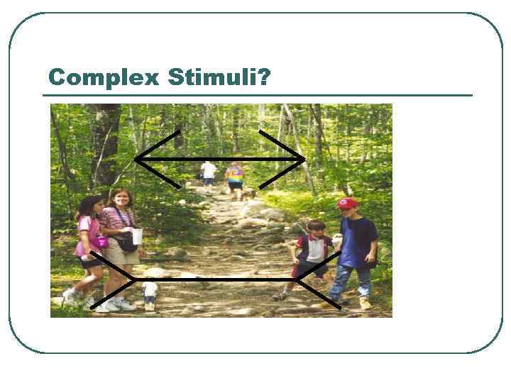 Complex Stimuli? 