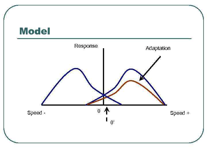 Model Response Speed - Adaptation 0 Speed + 0’ 