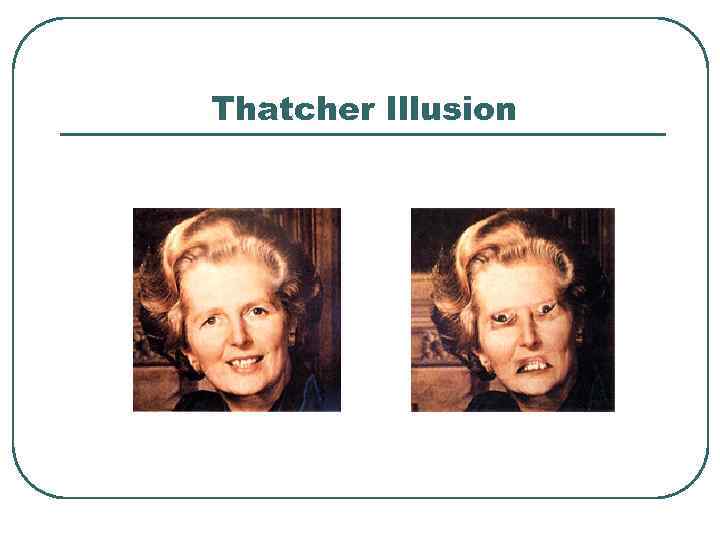 Thatcher Illusion 