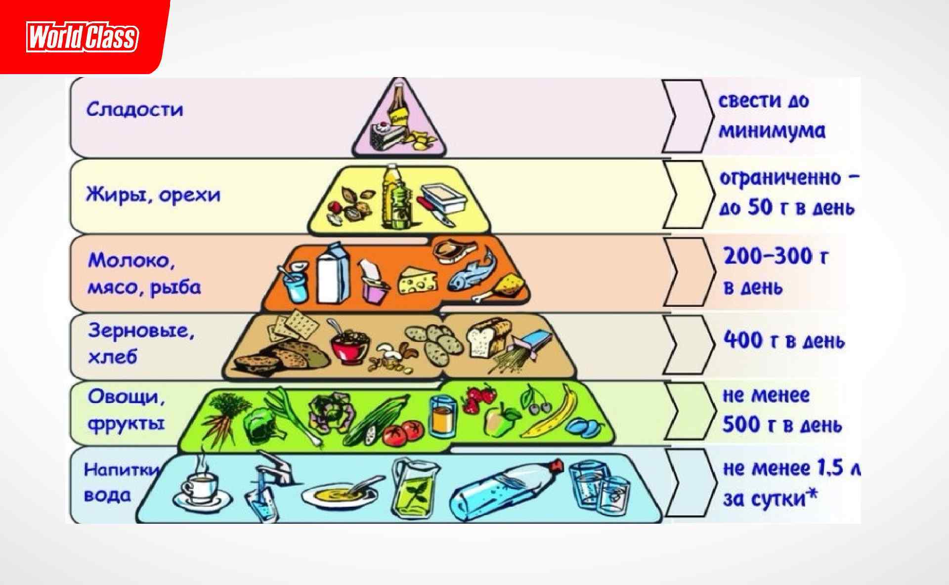 Пирамида здорового питания белки жиры углеводы
