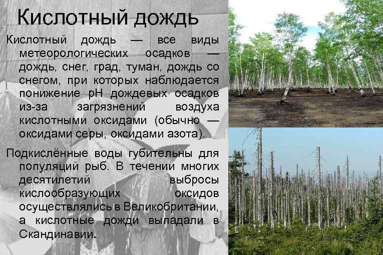 Кислотный дождь — все виды метеорологических осадков — дождь, снег, град, туман, дождь со