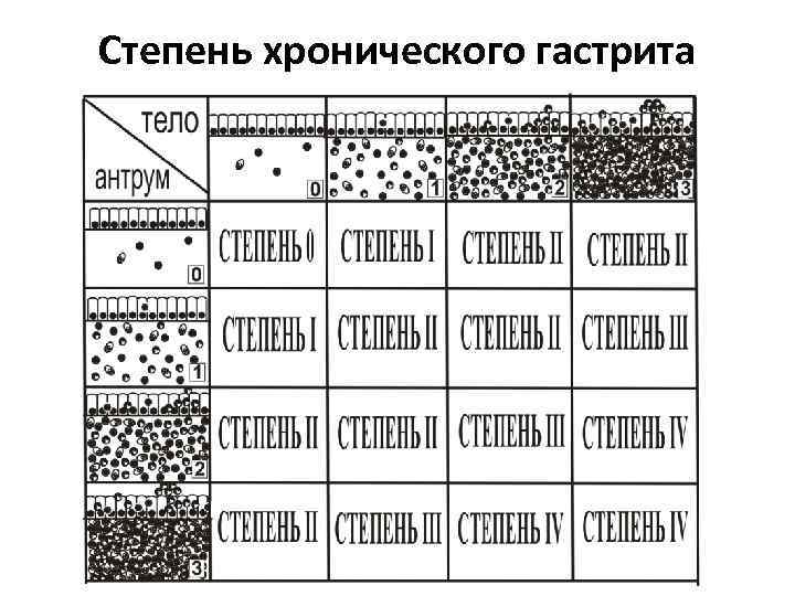 Степень хронического гастрита 