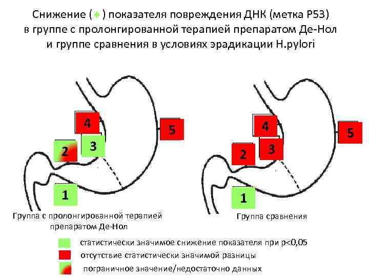 Снижение ( ) показателя повреждения ДНК (метка Р 53) в группе с пролонгированной терапией