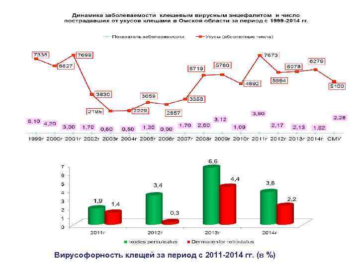 Вирусофорность клещей за период с 2011 -2014 гг. (в %) 