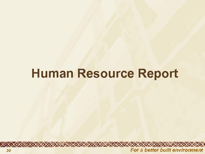  Human Resource Report 30 For a better built environment 