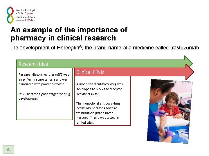 An example of the importance of pharmacy in clinical research The development of Herceptin®,