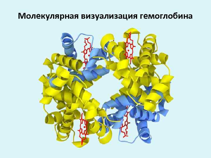 Молекулярная визуализация гемоглобина 