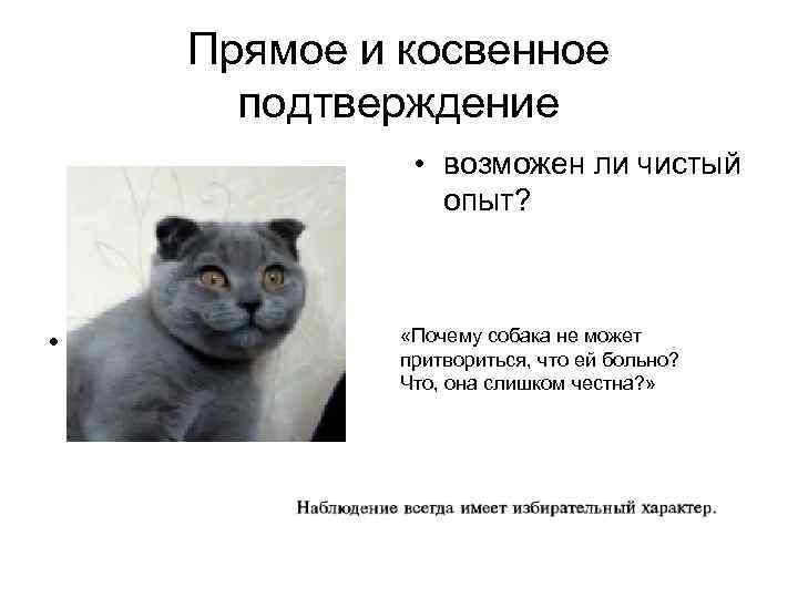 Прямое и косвенное подтверждение • возможен ли чистый опыт? • - «Почему собака не