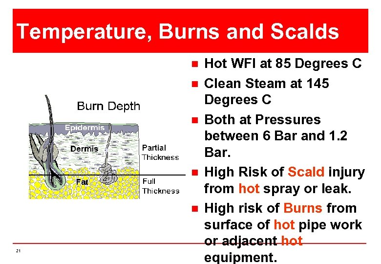 Temperature, Burns and Scalds n n n 21 Hot WFI at 85 Degrees C