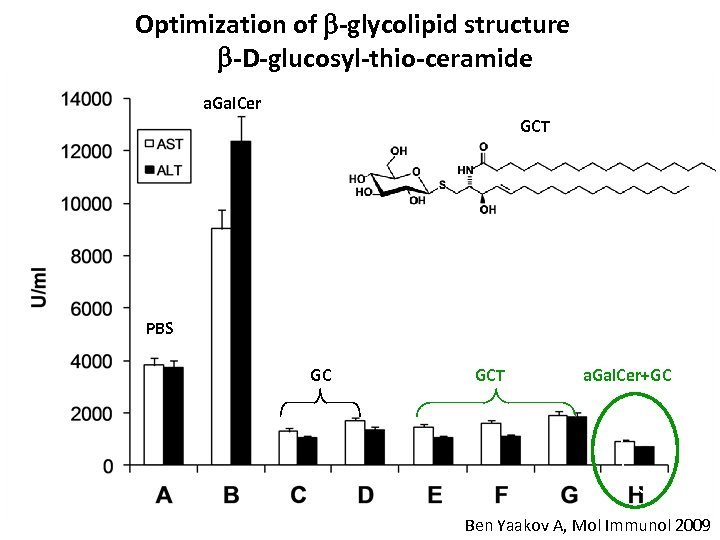 Optimization of -glycolipid structure -D-glucosyl-thio-ceramide a. Gal. Cer GCT PBS GC GCT a. Gal.