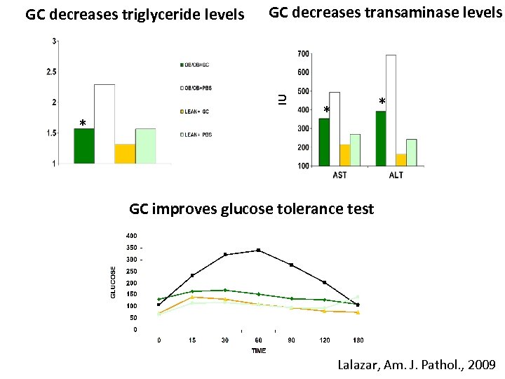 * * IU GC decreases transaminase levels * GC decreases triglyceride levels GC improves