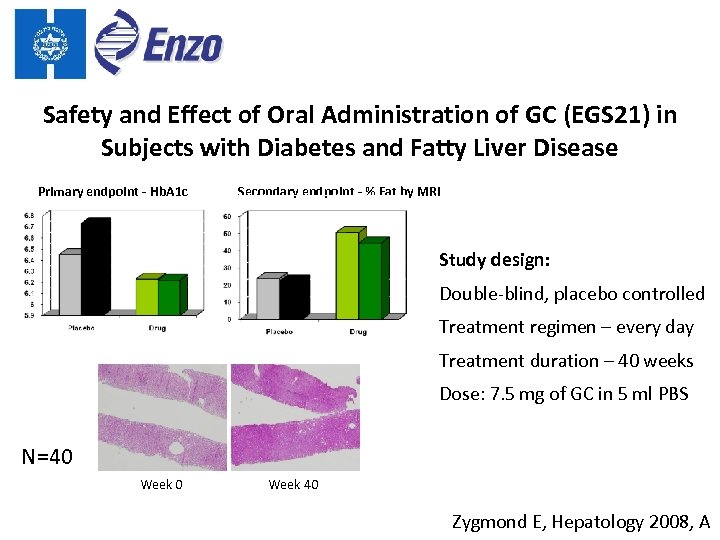 Safety and Effect of Oral Administration of GC (EGS 21) in Subjects with Diabetes