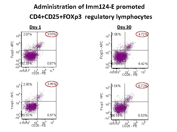 Administration of Imm 124 -E promoted CD 4+CD 25+FOXp 3 regulatory lymphocytes Day 1