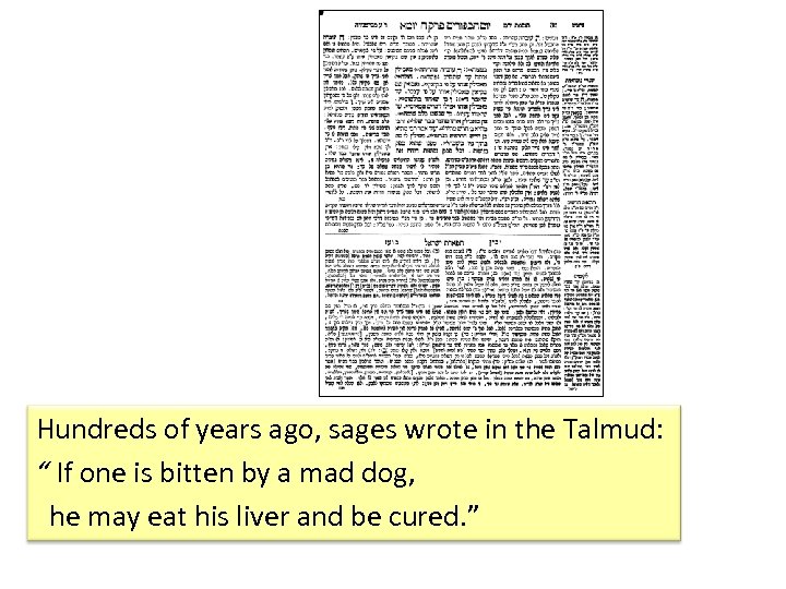 Hundreds of years ago, sages wrote in the Talmud: “ If one is bitten