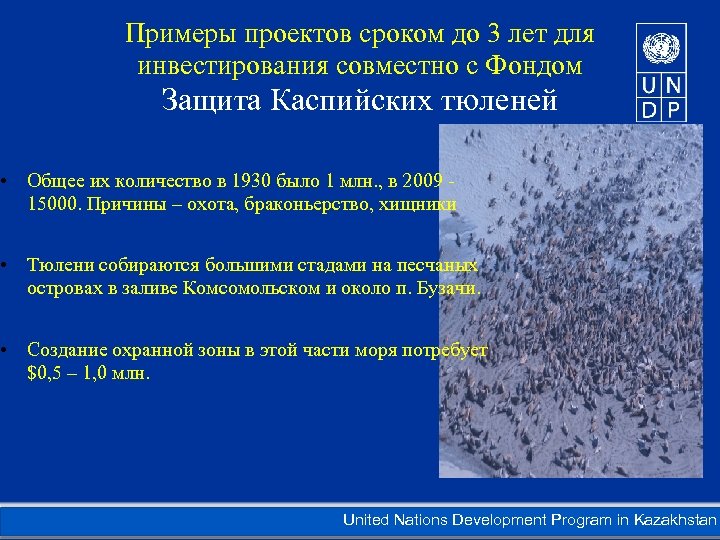 Примеры проектов сроком до 3 лет для инвестирования совместно с Фондом Защита Каспийских тюленей