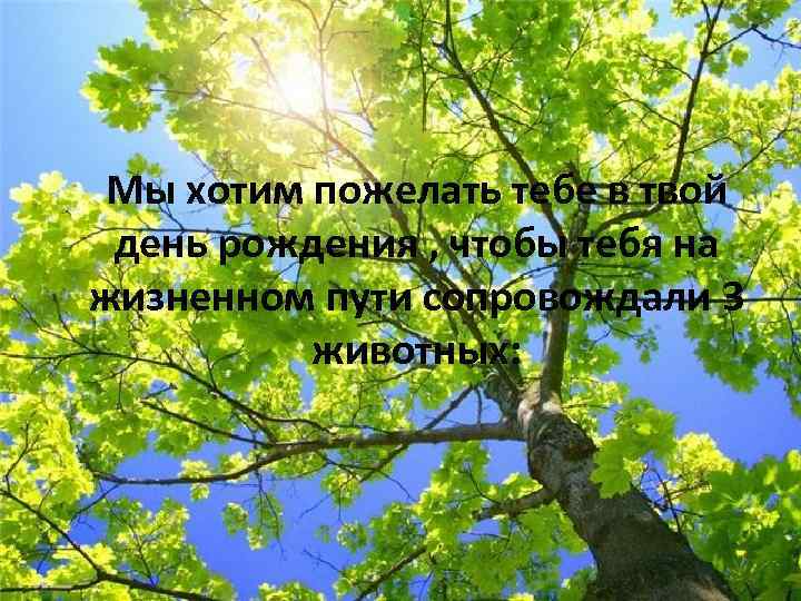 Мы хотим пожелать тебе в твой день рождения , чтобы тебя на жизненном пути