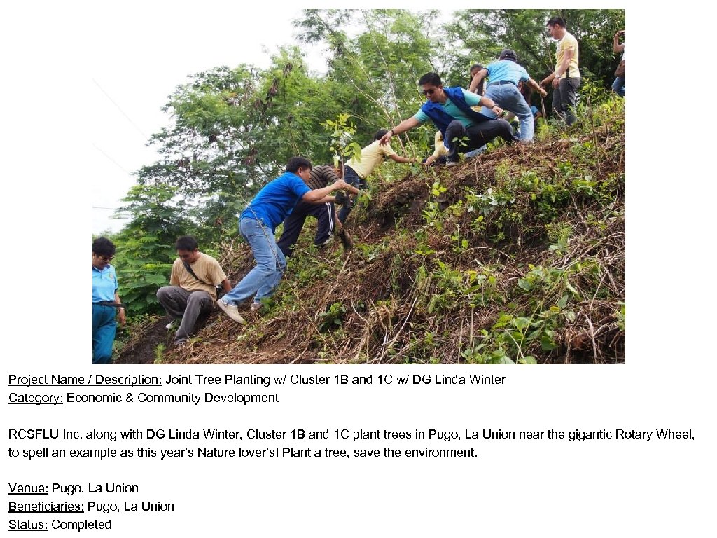 Project Name / Description: Joint Tree Planting w/ Cluster 1 B and 1 C