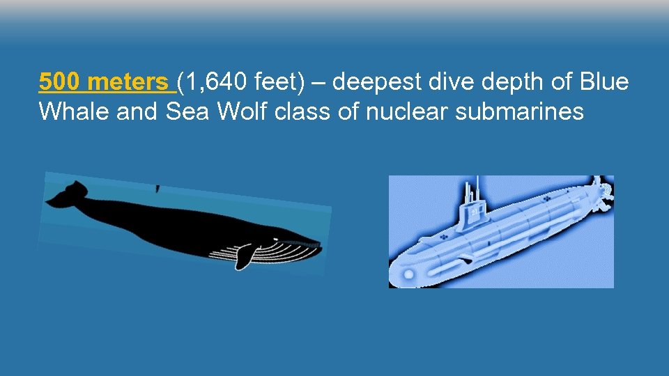 500 meters (1, 640 feet) – deepest dive depth of Blue Whale and Sea