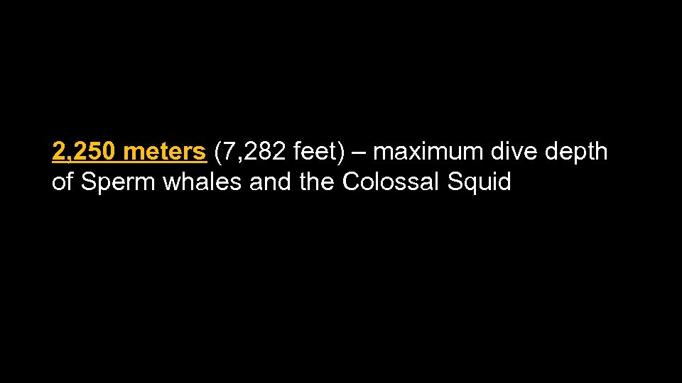 2, 250 meters (7, 282 feet) – maximum dive depth of Sperm whales and