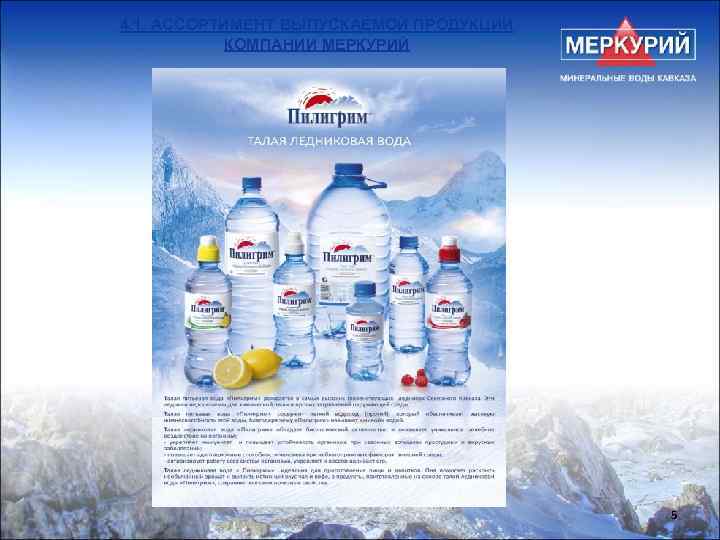 4. 1. АССОРТИМЕНТ ВЫПУСКАЕМОЙ ПРОДУКЦИИ КОМПАНИИ МЕРКУРИЙ 5 