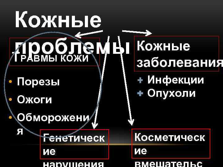 Кожные проблемы Кожные ТРАВМЫ КОЖИ заболевания • Порезы • Ожоги • Обморожени я Генетическ