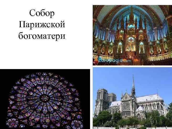 Собор Парижской богоматери 