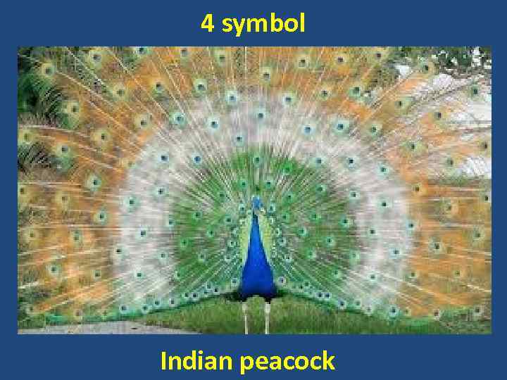 4 symbol Indian peacock 