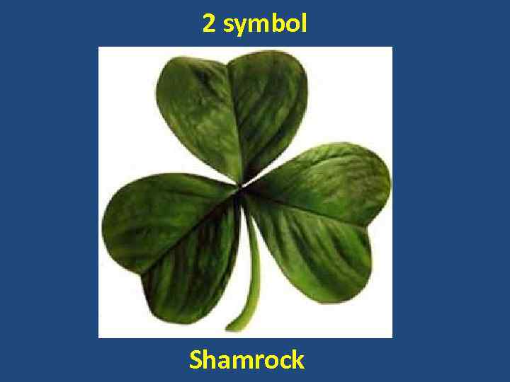 2 symbol Shamrock 