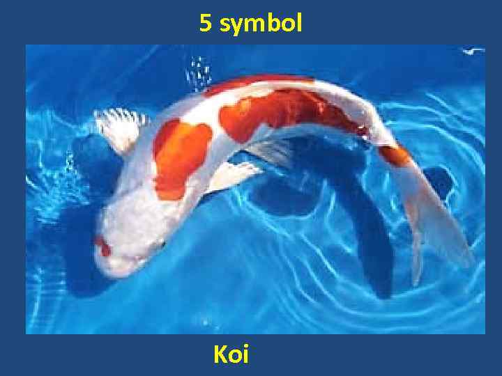 5 symbol Koi 