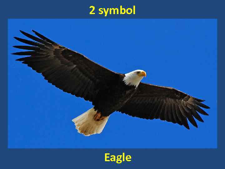 2 symbol Eagle 