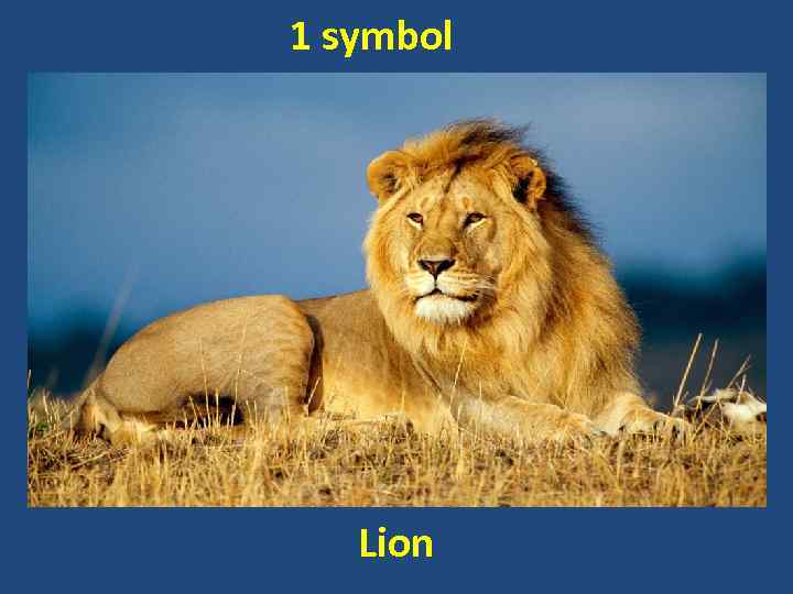 1 symbol Lion 